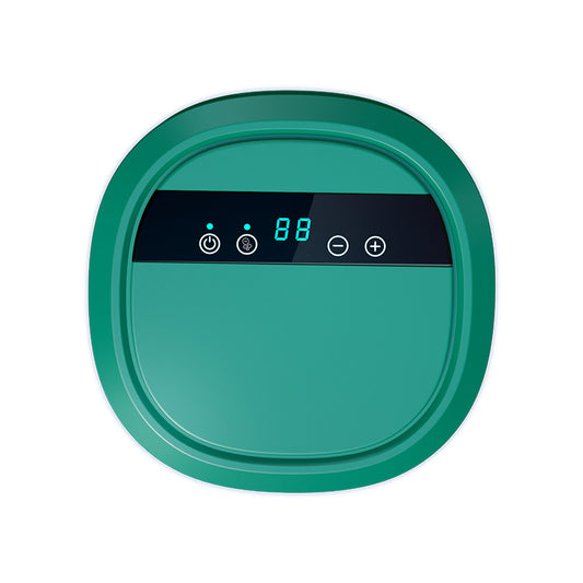 Fruit and Vegetable Cleaning and Disinfection Machine