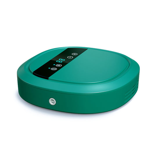 Fruit and Vegetable Cleaning and Disinfection Machine