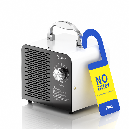 Voltage 110v, US standard three-pin Handheld Ozone Sterilizer for Space Disinfection